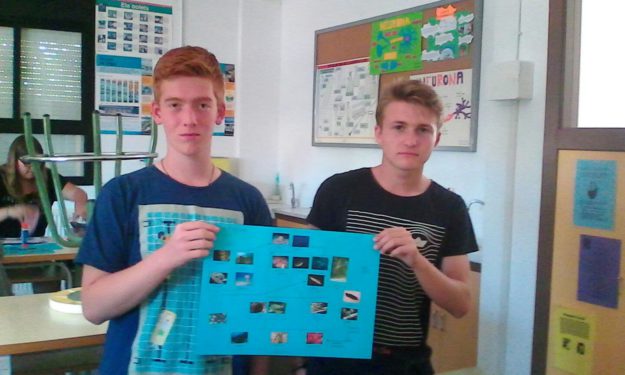 ulldecona xarxa posidonia2